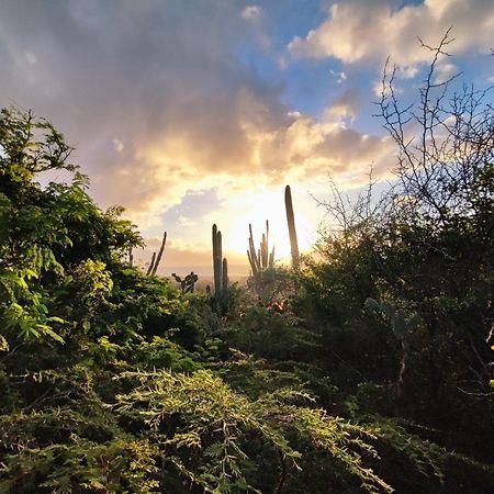 Saint Joris A Tiny Boutique Resort Willemstad Luaran gambar