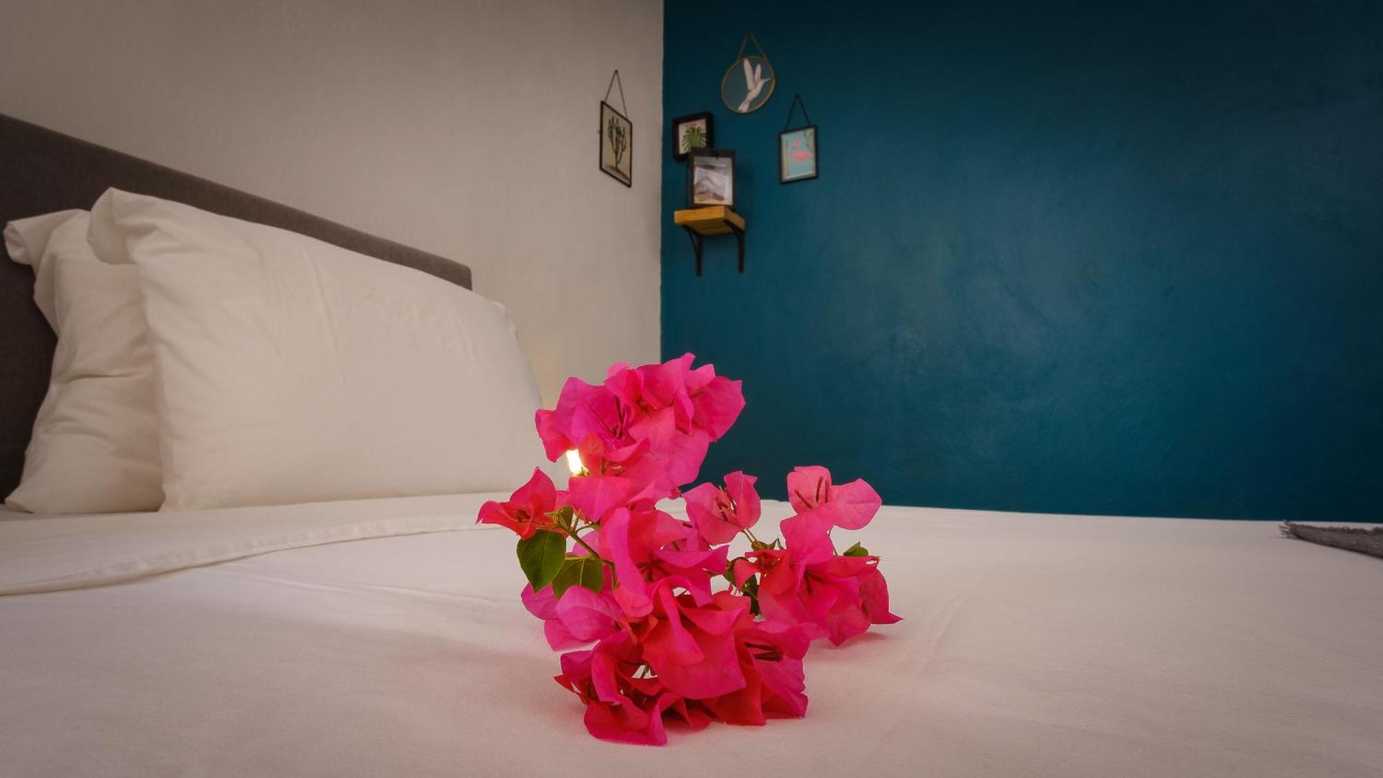 Saint Joris A Tiny Boutique Resort Willemstad Luaran gambar